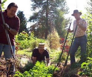 The Sharing Gardens