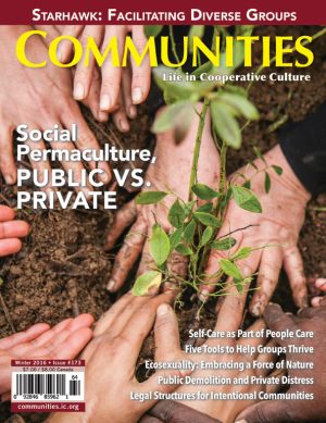 Communities magazine #173 Winter 2016 Social Permaculture