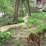 Arboretum Cohousing