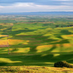 Coyote-Hills / Tribe Life Palouse Sustainable Living Community