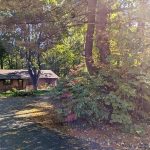 Hamden Cooperative Forest Farm