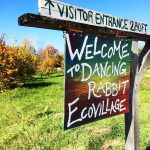 Dancing Rabbit Ecovillage